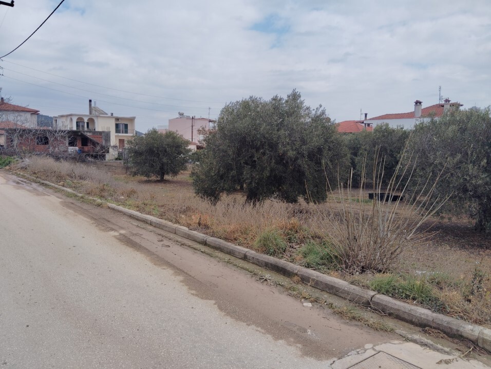 Land in Poligiros, Chalkidiki, Greece – 59464