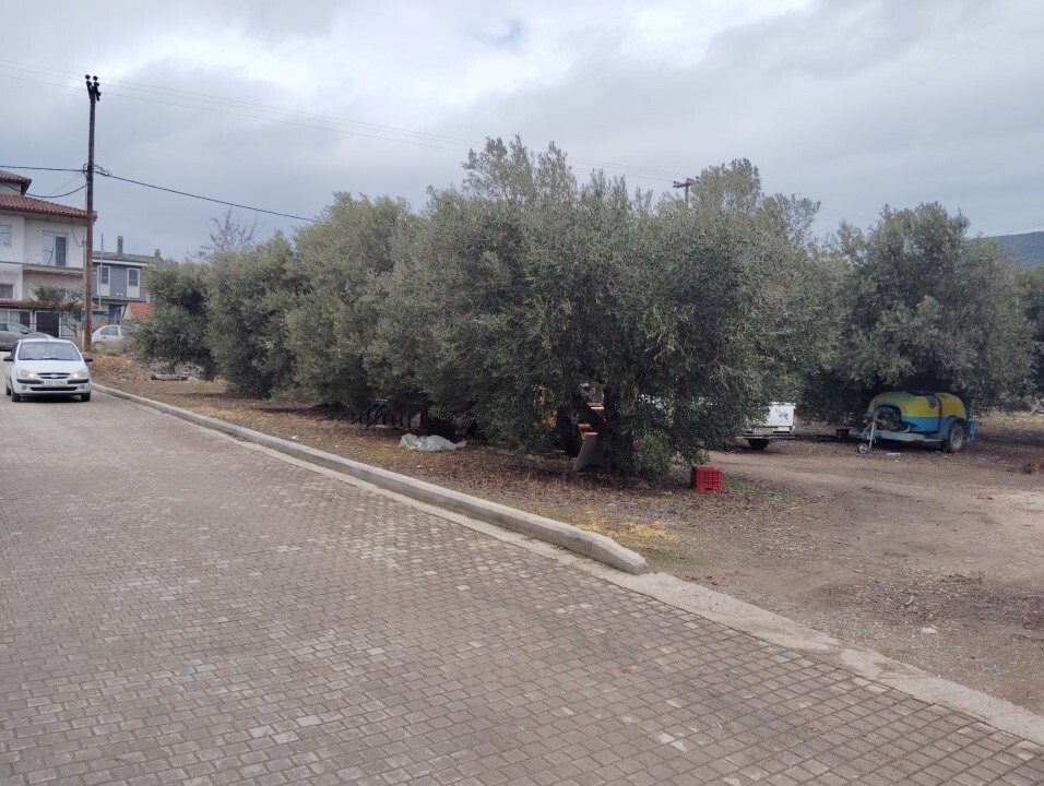 Land in Poligiros, Chalkidiki, Greece – 59464