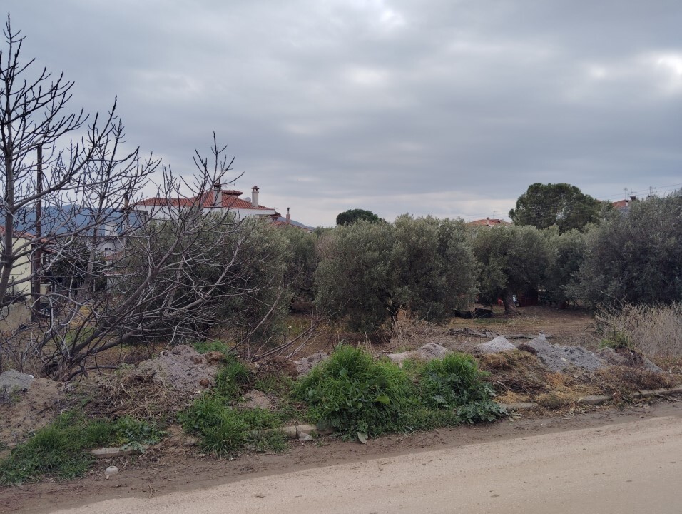 Land in Poligiros, Chalkidiki, Greece – 59464