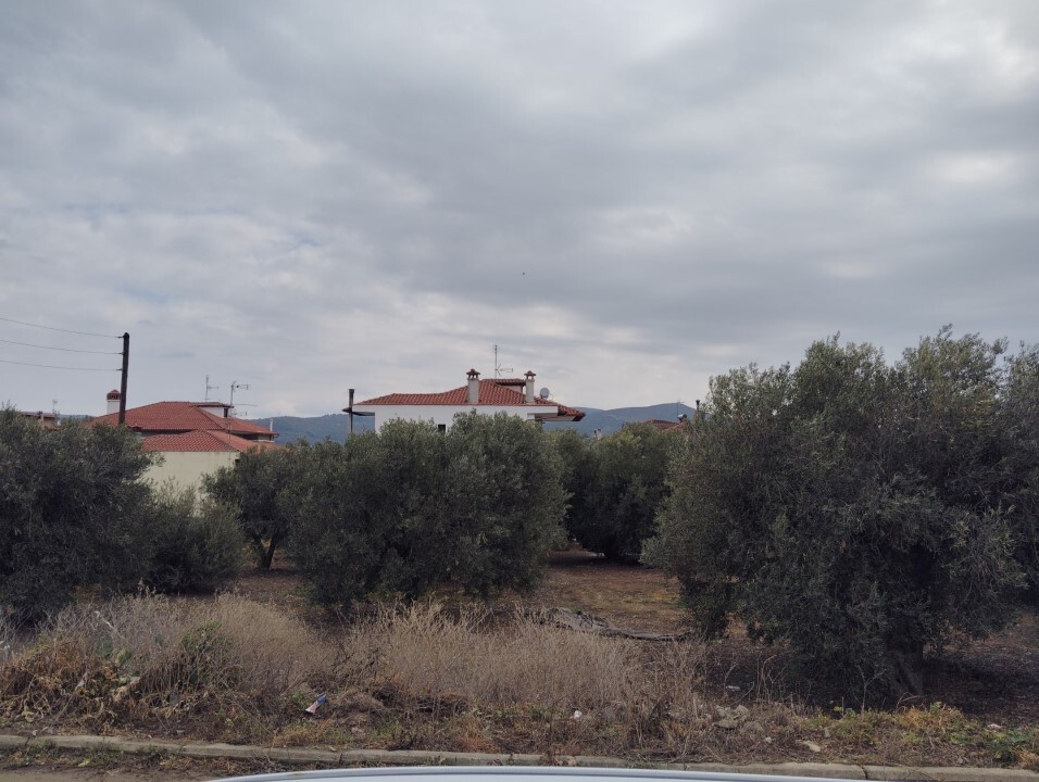 Land in Poligiros, Chalkidiki, Greece – 59464