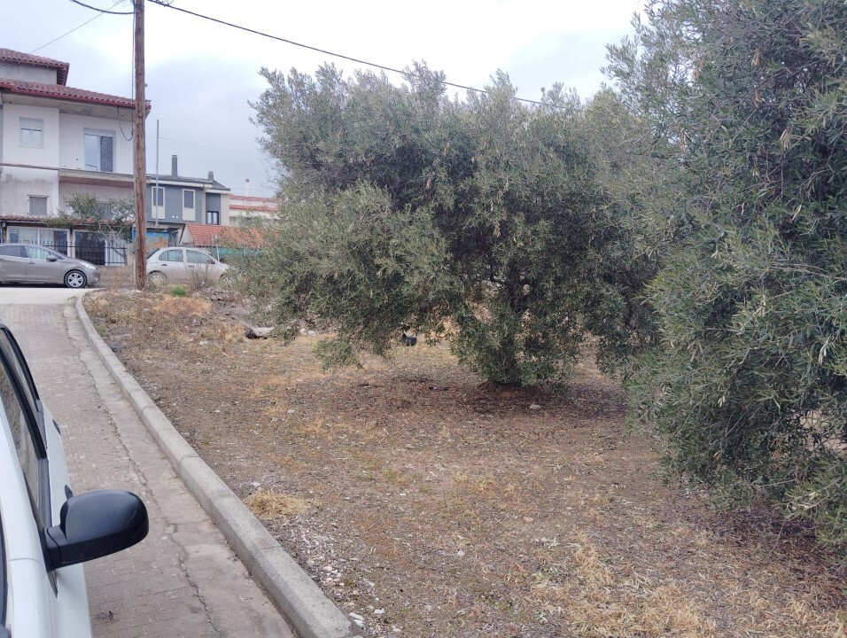 Land in Poligiros, Chalkidiki, Greece – 59464