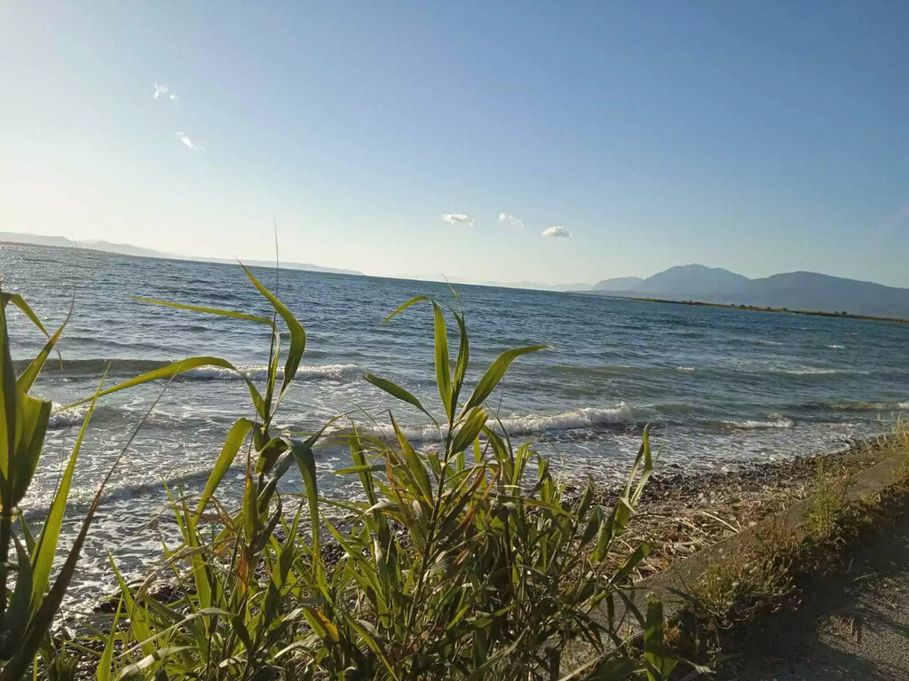 Land in Chalkida, Evia, Greece – 59361
