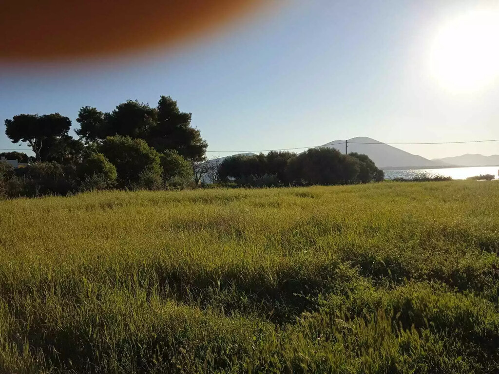 Land in Chalkida, Evia, Greece – 59361