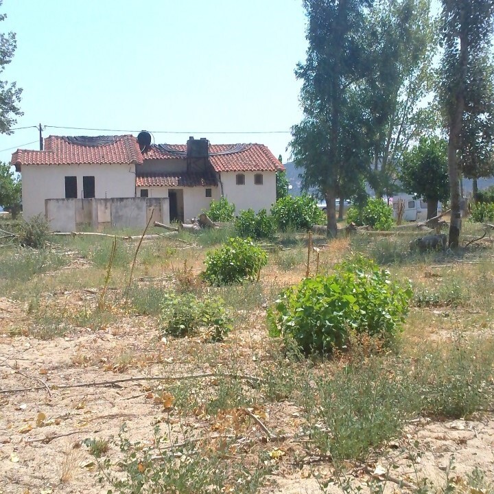 Land in Sithonia, Chalkidiki, Greece – 59287