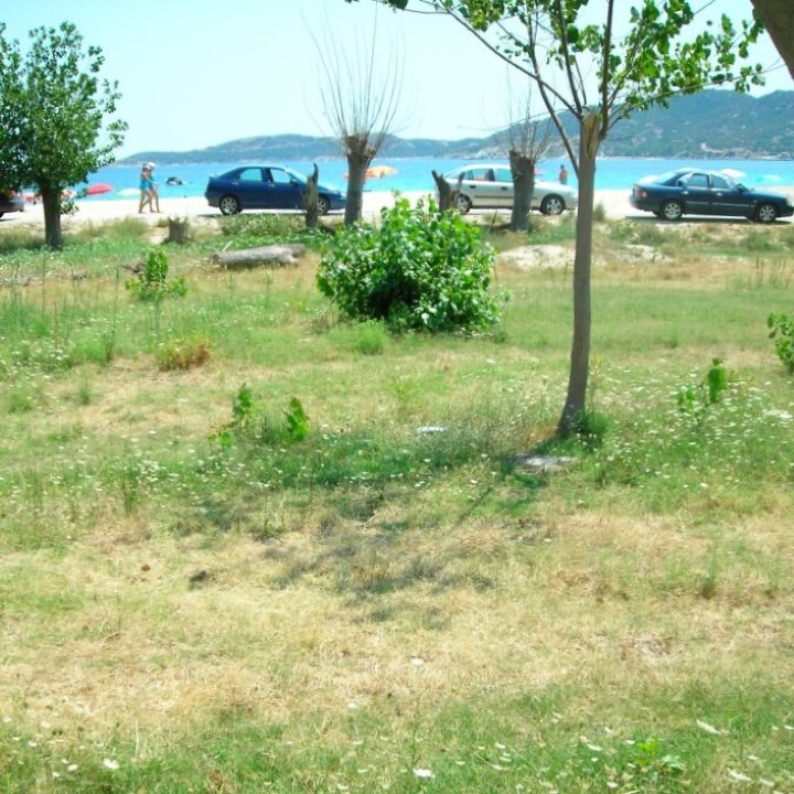 Land in Sithonia, Chalkidiki, Greece – 59287
