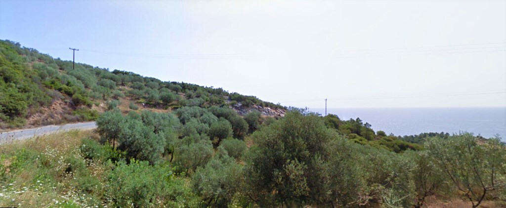 Land in Aristotle, Chalkidiki, Greece – 59274