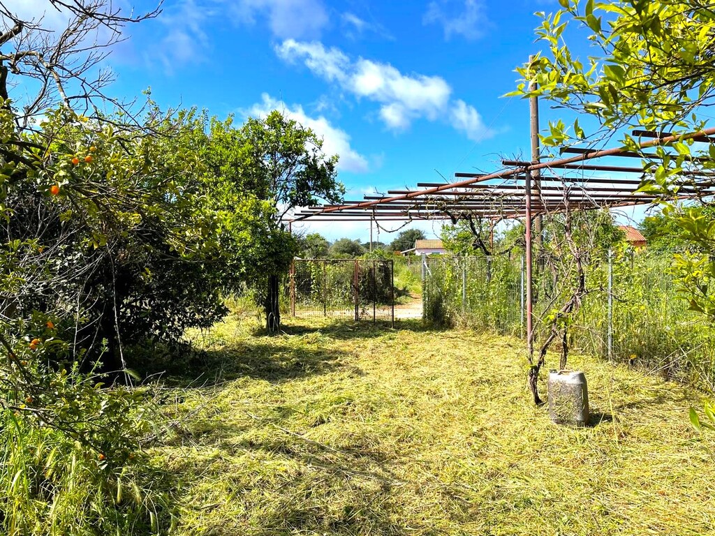 Land in Corfu, Corfu Prefecture, Greece – 59230