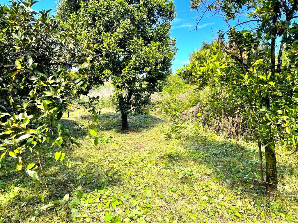 Land in Corfu, Corfu Prefecture, Greece – 59230