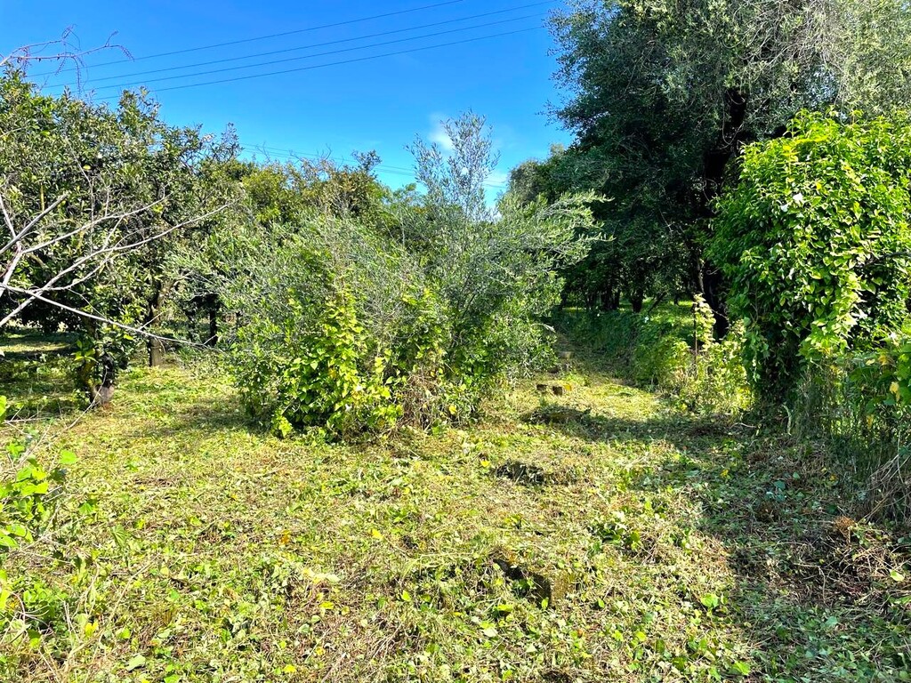 Land in Corfu, Corfu Prefecture, Greece – 59230