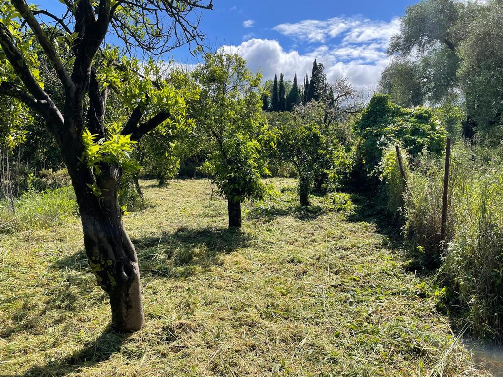 Land in Corfu, Corfu Prefecture, Greece – 59230