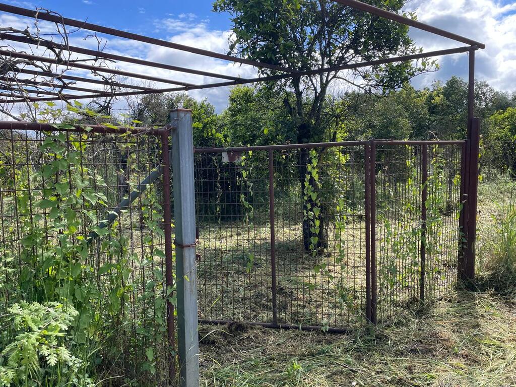Land in Corfu, Corfu Prefecture, Greece – 59230