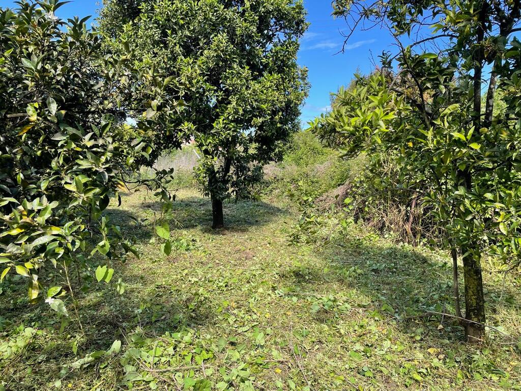 Land in Corfu, Corfu Prefecture, Greece – 59230