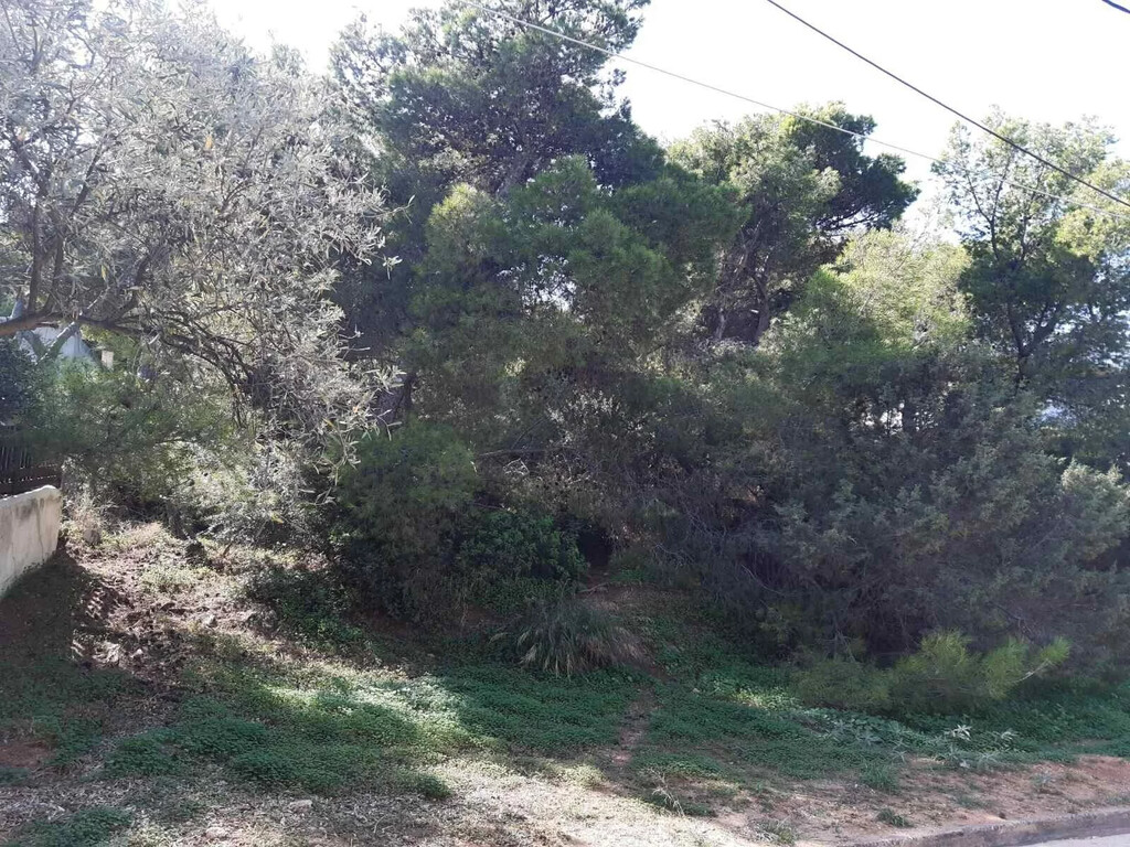 Land in Markopoulo, Rest Of Attica, Greece – 59221