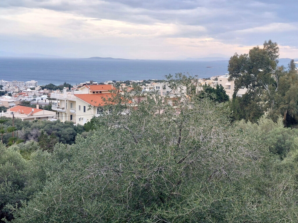 Land in Saronida, Rest Of Attica, Greece – 59219