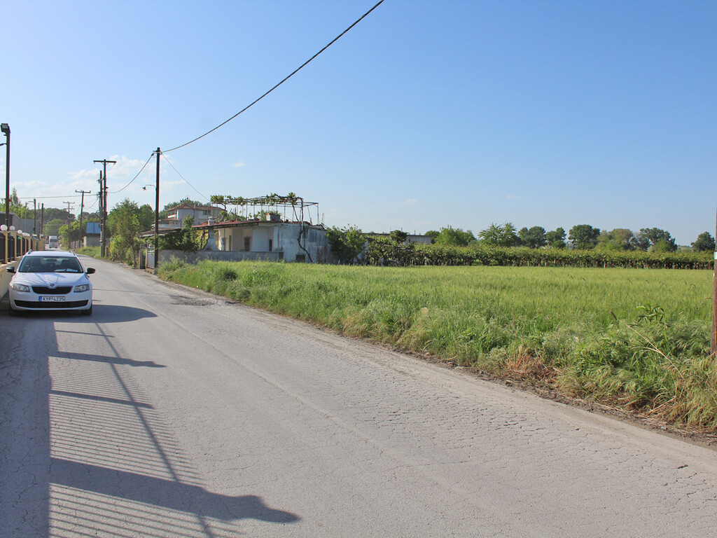 Land in Katerini, Pieria Prefecture, Greece – 59215