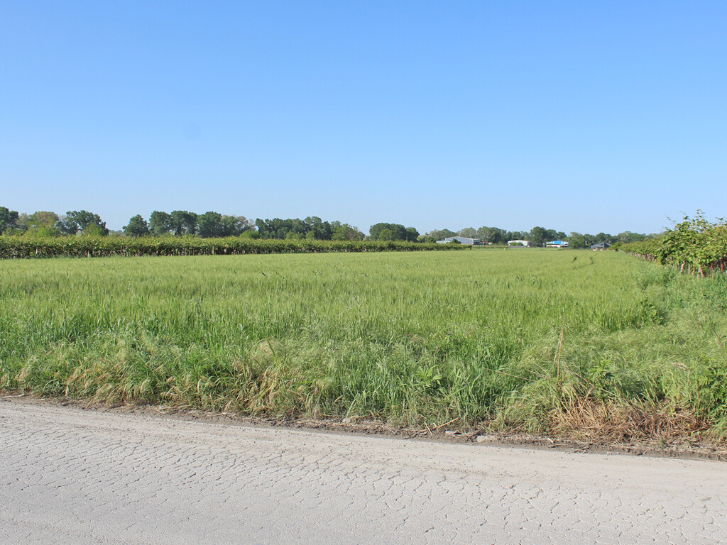 Land in Katerini, Pieria Prefecture, Greece – 59215