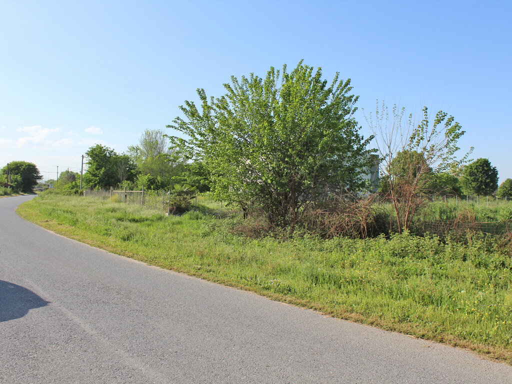 Land in Katerini, Pieria Prefecture, Greece – 59214