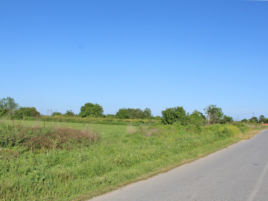Land in Katerini, Pieria Prefecture, Greece – 59214