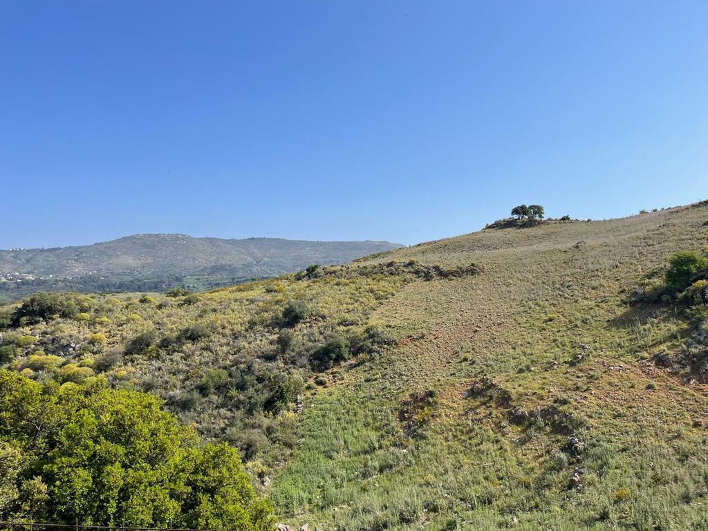 Land in Krionerida, Chania Prefecture, Greece – 59201