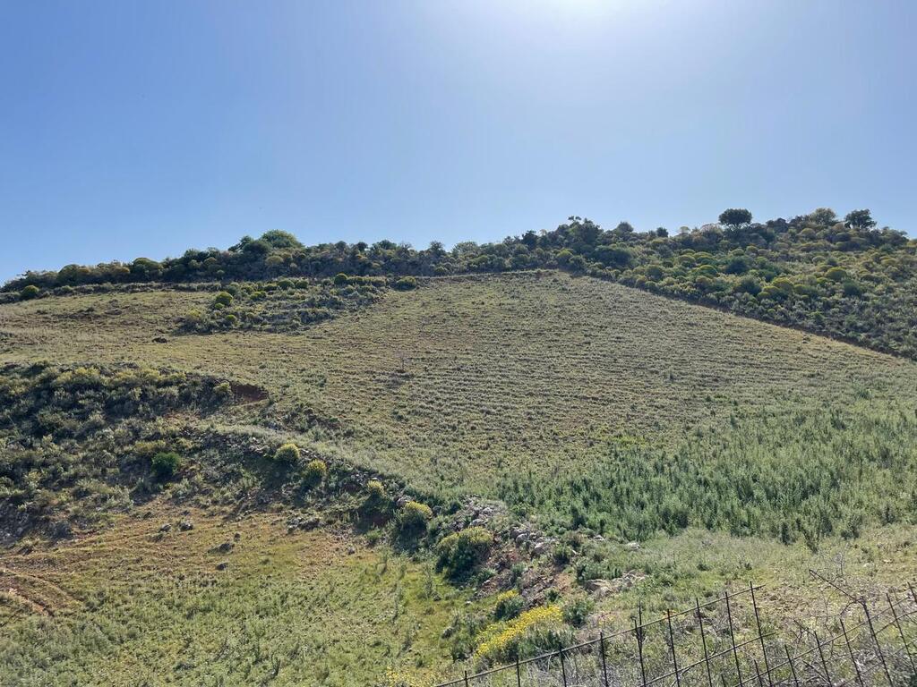 Land in Krionerida, Chania Prefecture, Greece – 59200