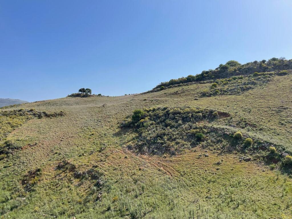 Land in Krionerida, Chania Prefecture, Greece – 59200