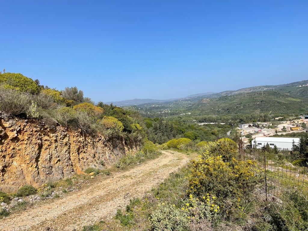 Land in Krionerida, Chania Prefecture, Greece – 59200