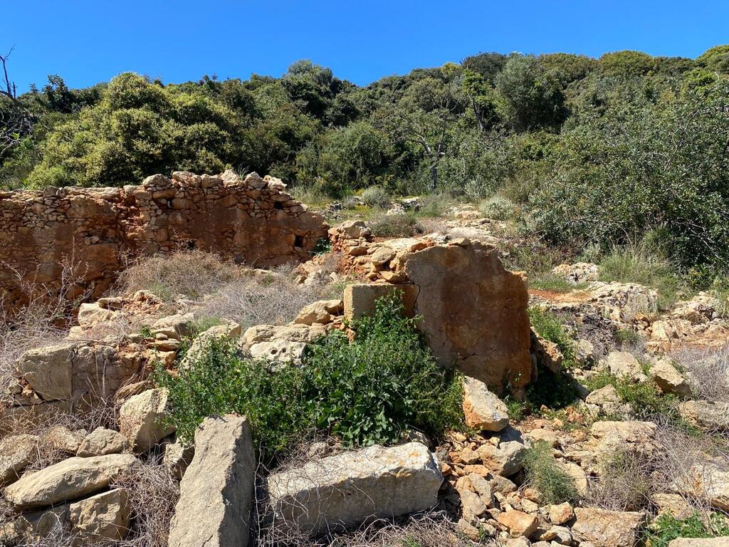 Land in Kolimvari, Chania Prefecture, Greece – 59117
