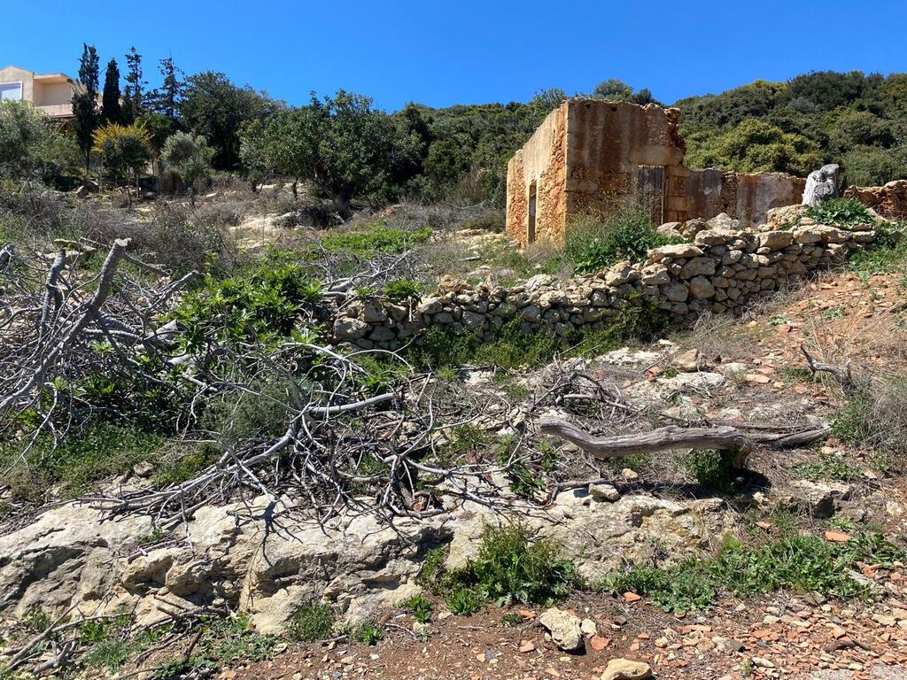 Land in Kolimvari, Chania Prefecture, Greece – 59115