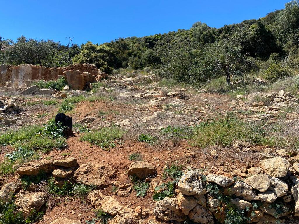 Land in Kolimvari, Chania Prefecture, Greece – 59115