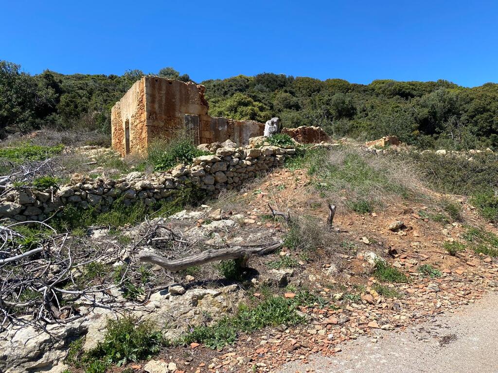 Land in Kolimvari, Chania Prefecture, Greece – 59115