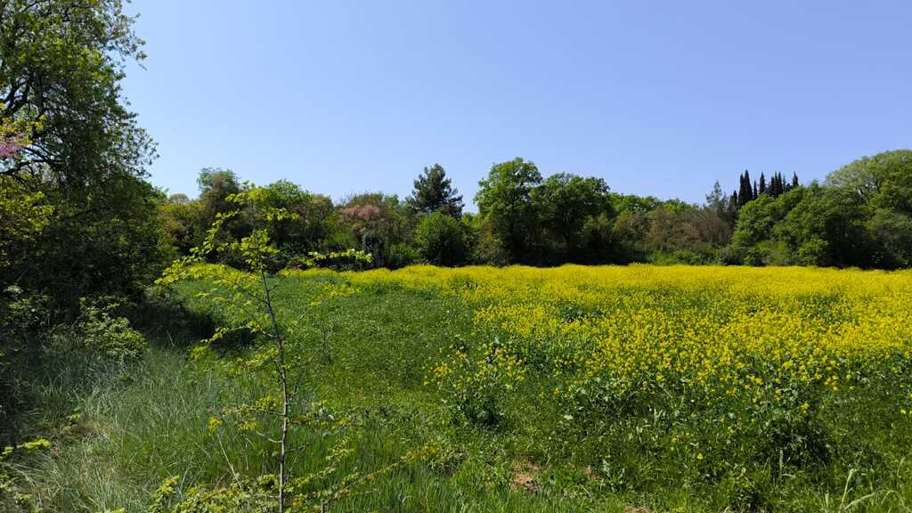 Land in Methoni, Pieria Prefecture, Greece – 59103
