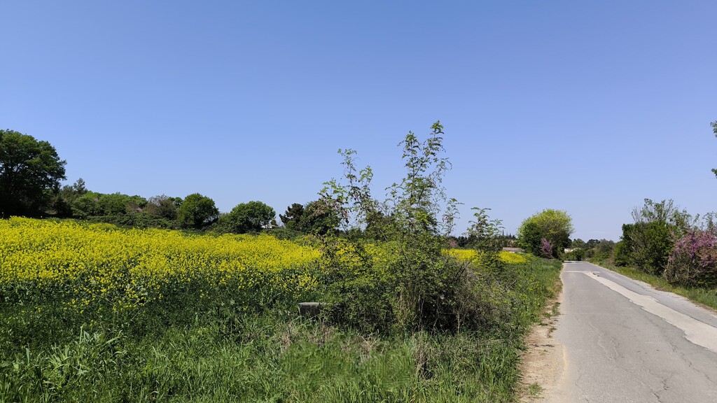 Land in Methoni, Pieria Prefecture, Greece – 59103
