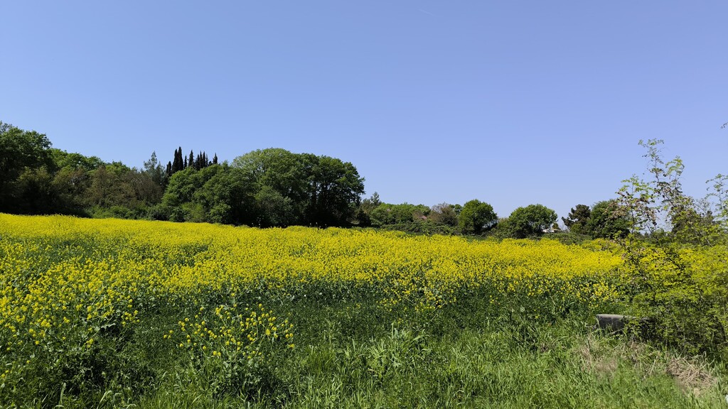 Land in Methoni, Pieria Prefecture, Greece – 59102