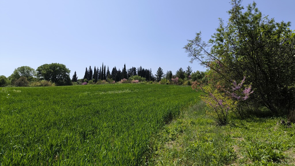 Land in Methoni, Pieria Prefecture, Greece – 59100