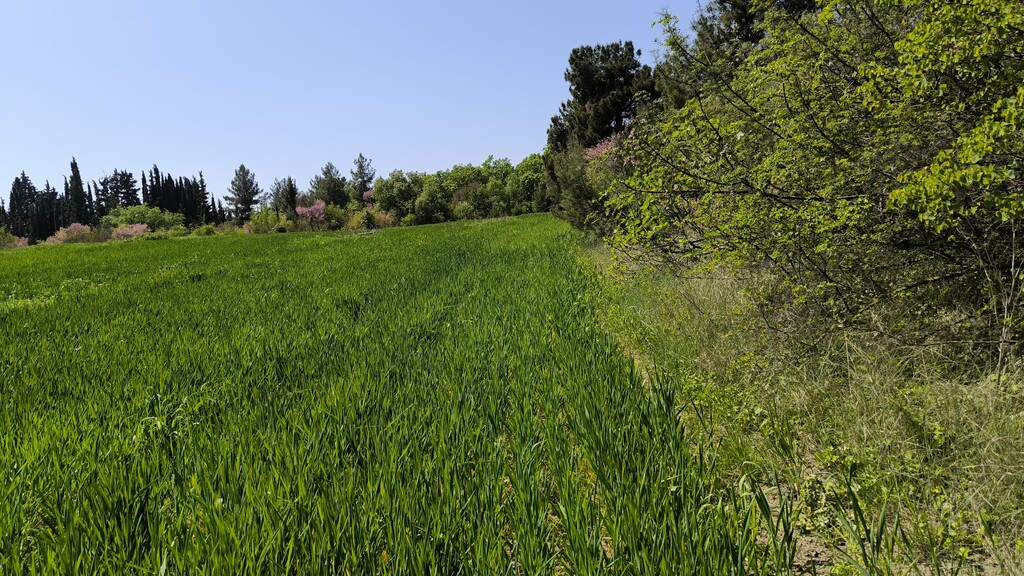 Land in Methoni, Pieria Prefecture, Greece – 59100