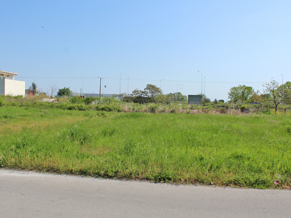 Land in Katerini, Pieria Prefecture, Greece – 59078