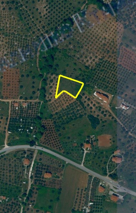 Land in Sithonia, Chalkidiki, Greece – 59063