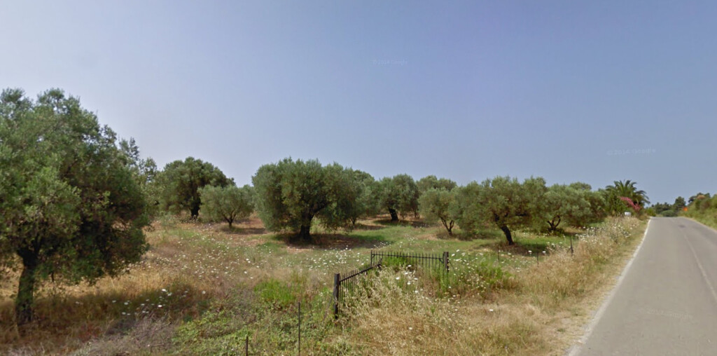 Land in Kassandra, Chalkidiki, Greece – 58929