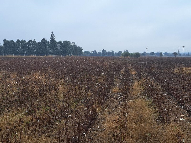 Land in Thermi, Thessaloniki – Suburbs, Greece – 58868