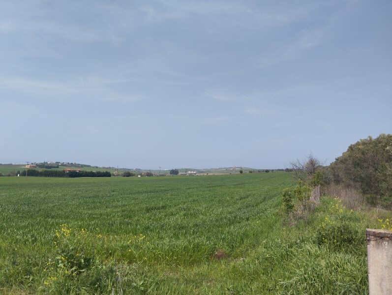 Land in Epanomi, Thessaloniki – Suburbs, Greece – 58560