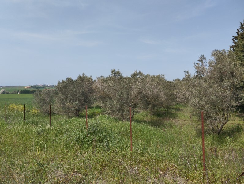 Land in Epanomi, Thessaloniki – Suburbs, Greece – 58560