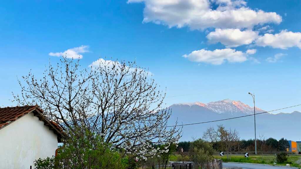 Land in Katerini, Pieria Prefecture, Greece – 58544