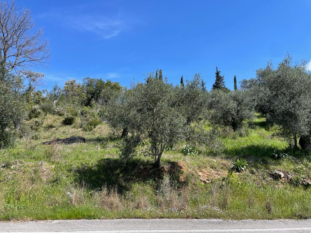 Land in Corfu, Corfu Prefecture, Greece – 58482
