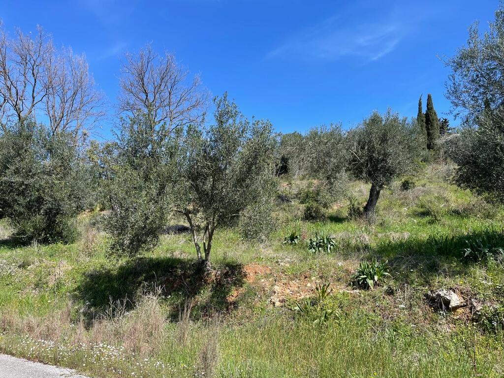 Land in Corfu, Corfu Prefecture, Greece – 58482