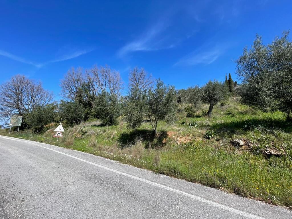 Land in Corfu, Corfu Prefecture, Greece – 58482