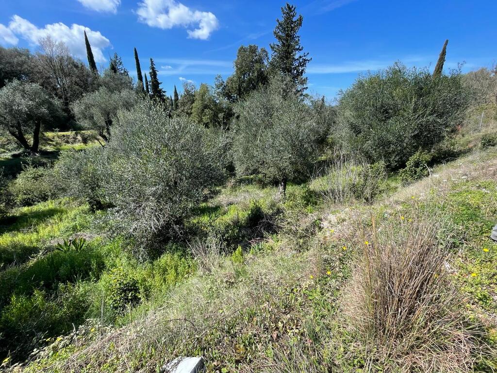 Land in Corfu, Corfu Prefecture, Greece – 58482
