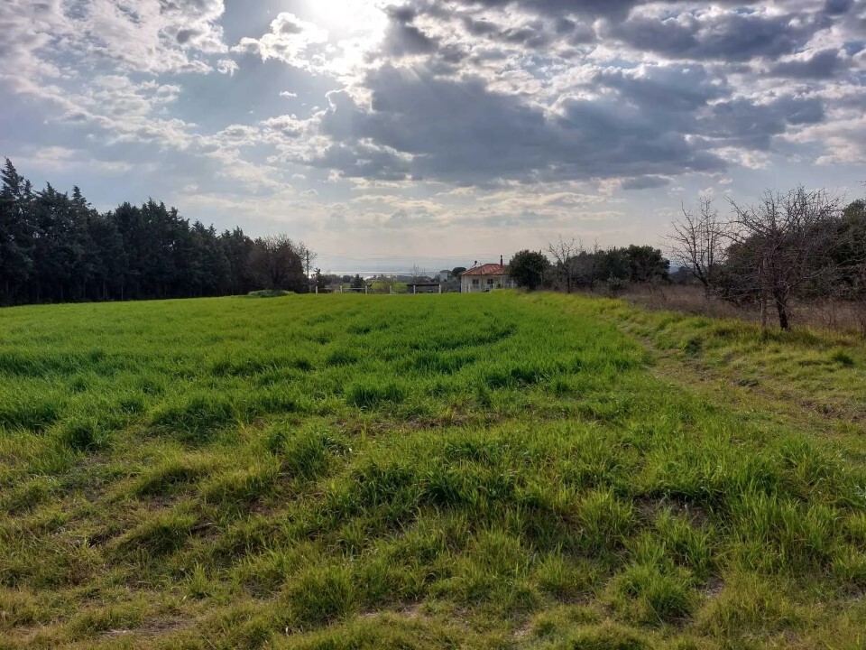 Land in Michaniona, Thessaloniki – Suburbs, Greece – 58481