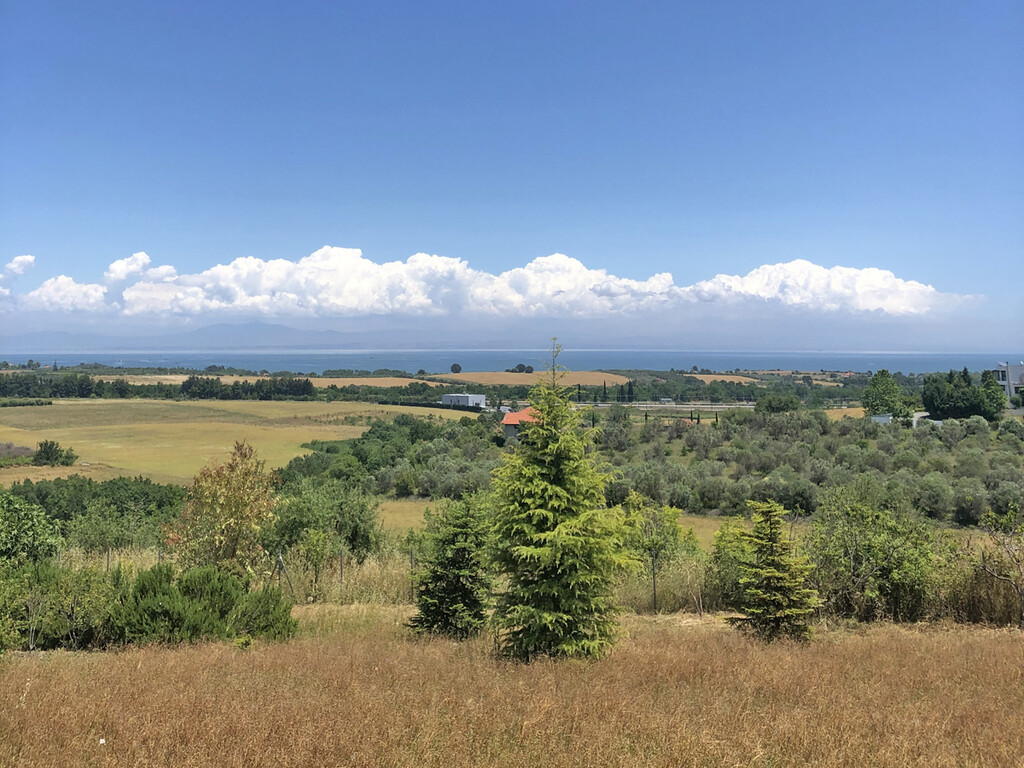 Land in Pidna, Pieria Prefecture, Greece – 58475