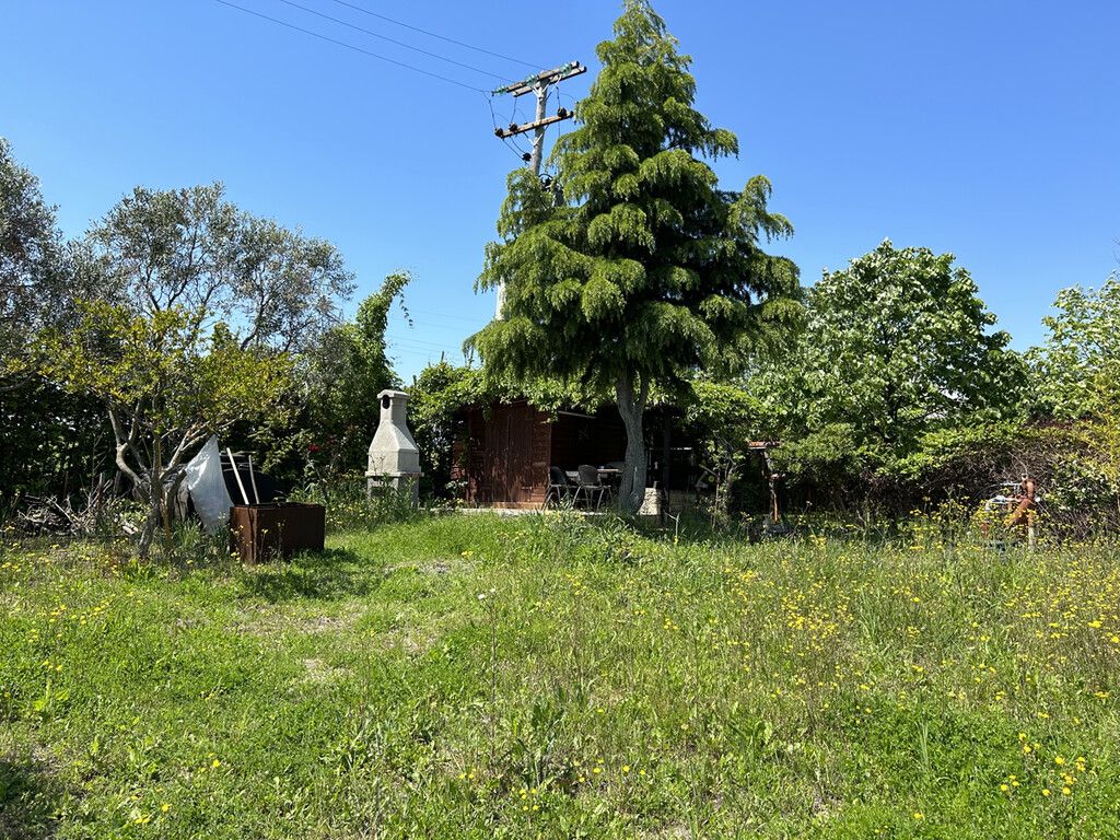 Land in Pidna, Pieria Prefecture, Greece – 58475