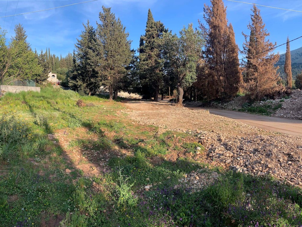 Land in Kefalonia, Kefallinia Prefecture, Greece – 58393